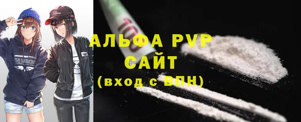 дурь Осташков