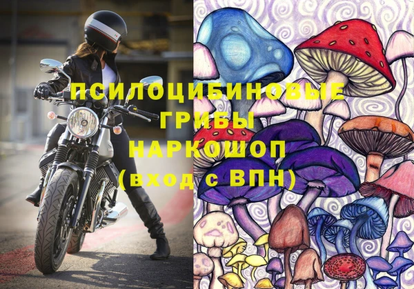 амф Арсеньев