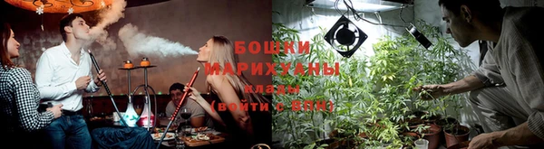 ПСИЛОЦИБИНОВЫЕ ГРИБЫ Осинники